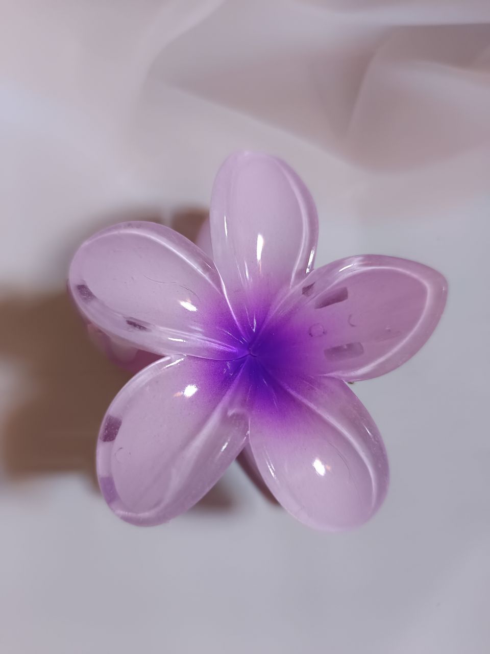 Jumbo size 5 petals claw - Violot