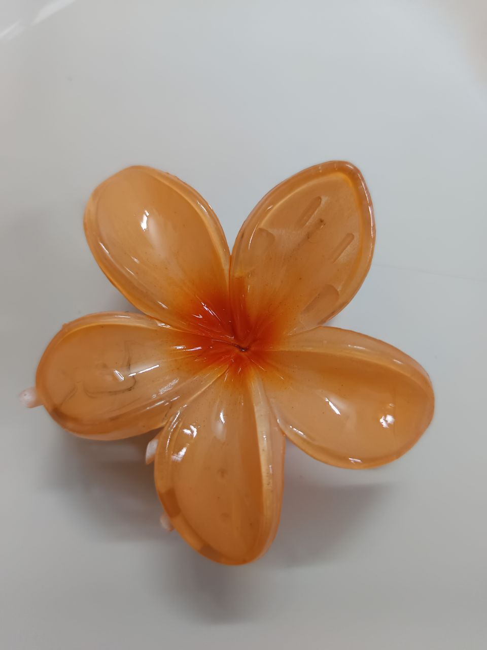 Jumbo size 5 petals claw